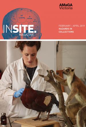 INSITE / Cover/ February-April / Hazards in Collections